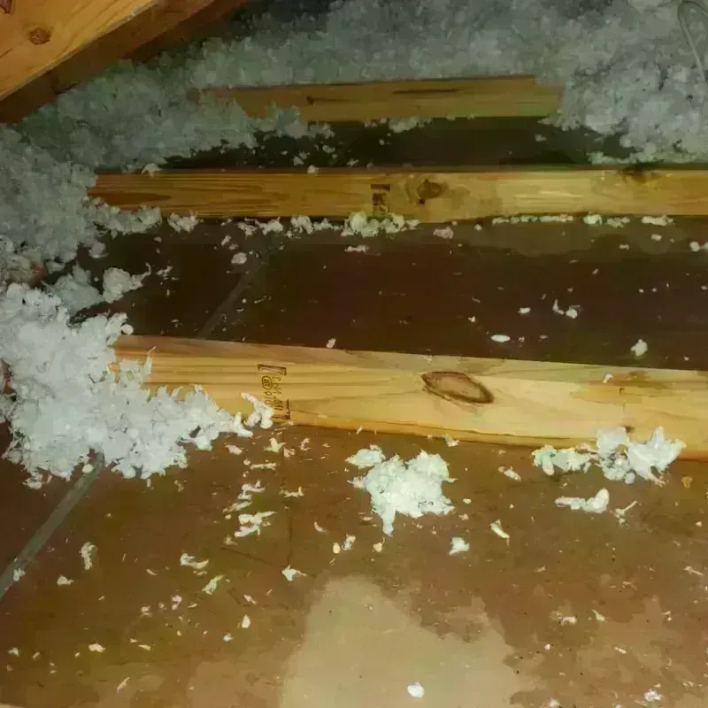 Attic Water Damage in Oxford, GA