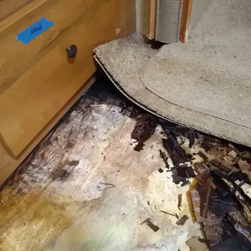 Best Wood Floor Water Damage Service in Oxford, GA